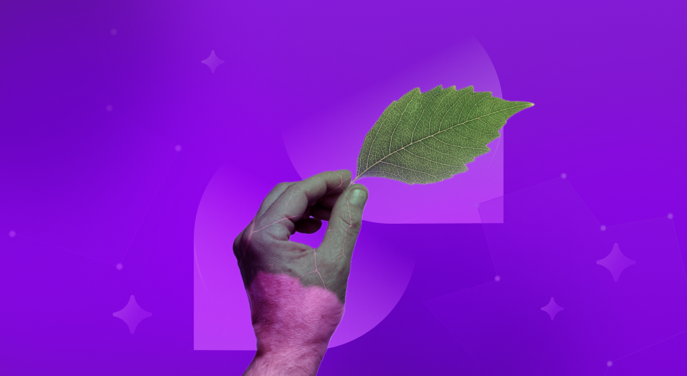 Greenwashing: saiba o que é e por que evitar essa prática 